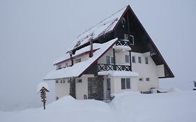 Hostel Snow House